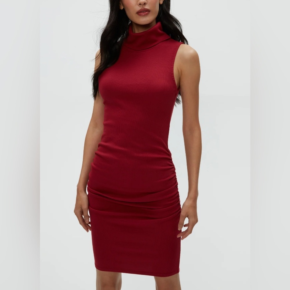 Michael Stars | Macy Ribbed Dress | Bodycon | Women’s Turtleneck Dress | NWT